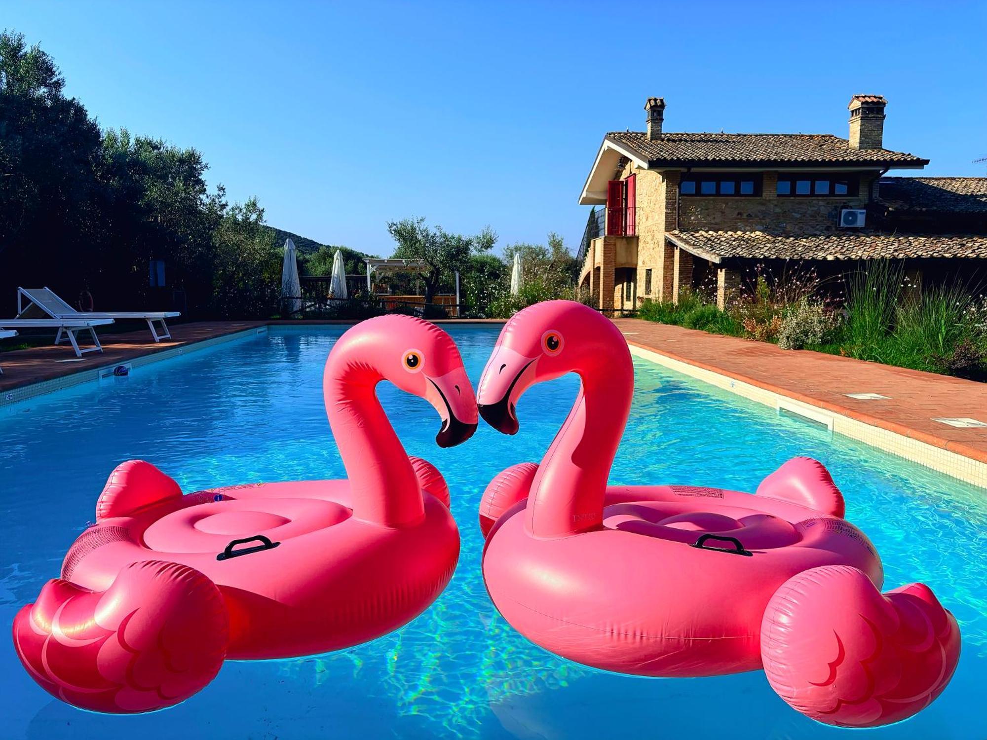 Nonna Nara Bed & Breakfast Grosseto Extérieur photo